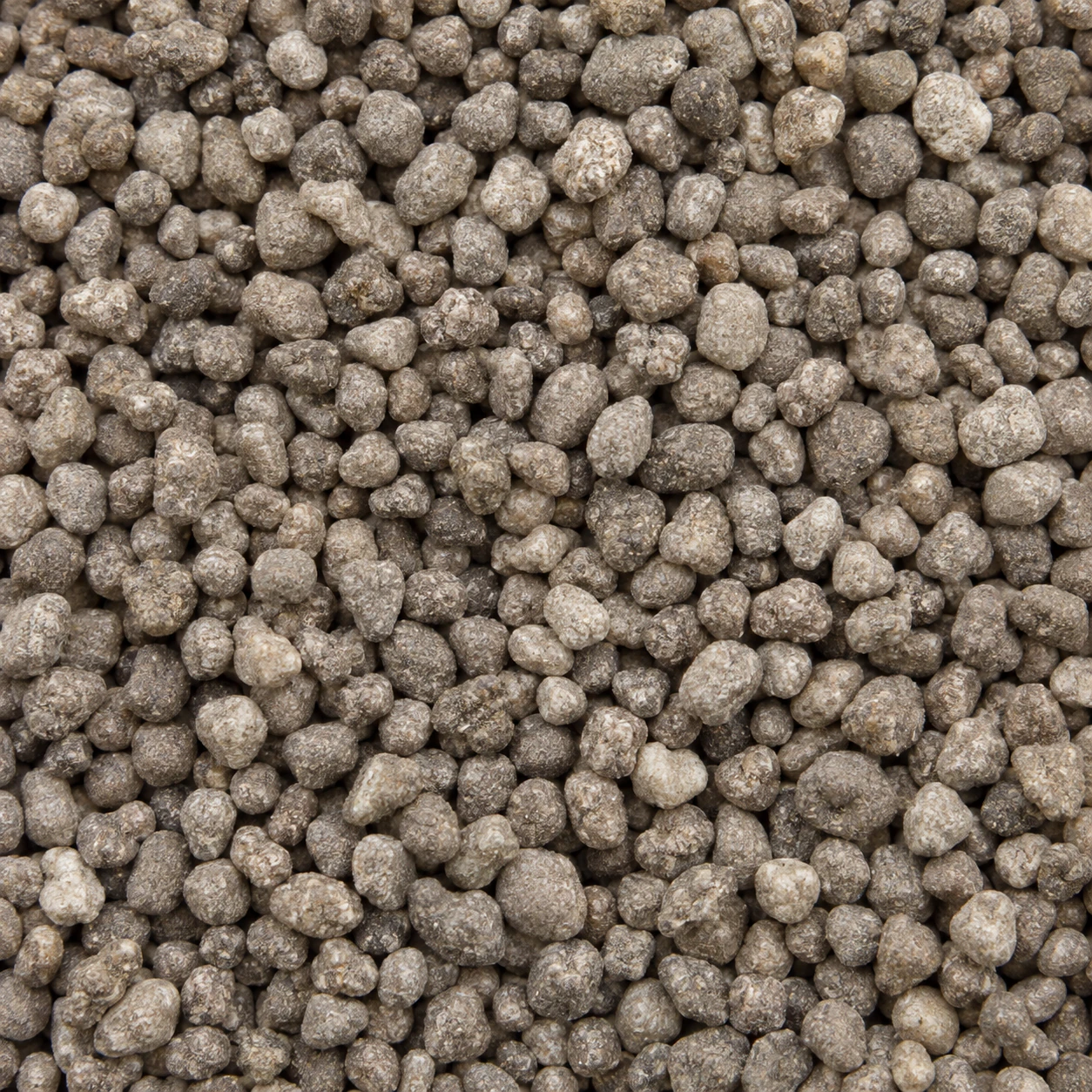 DAP fertilizer granules